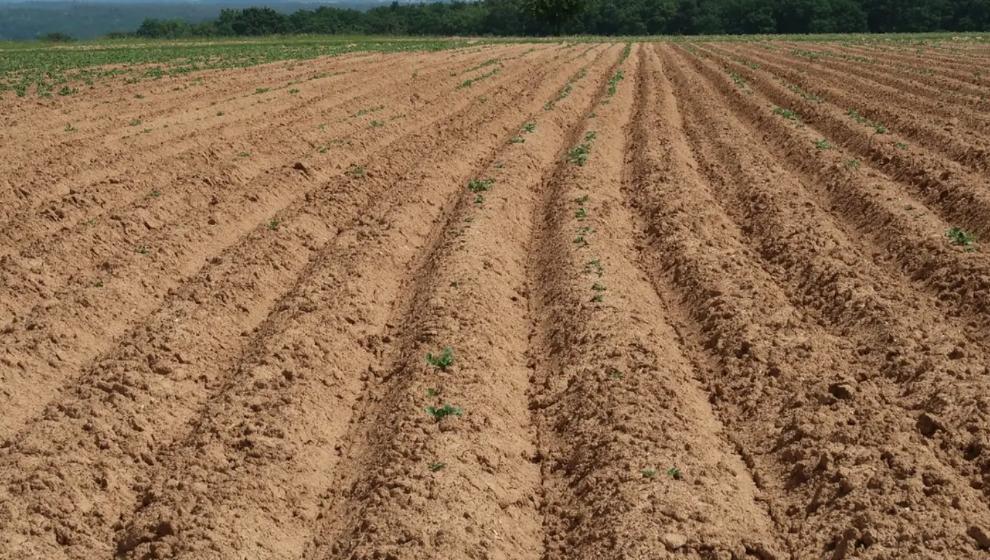 Malatya'da Tarla Sahiplerine Şok Uyarı: 180 Gününüz Var!